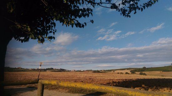 Bialbero