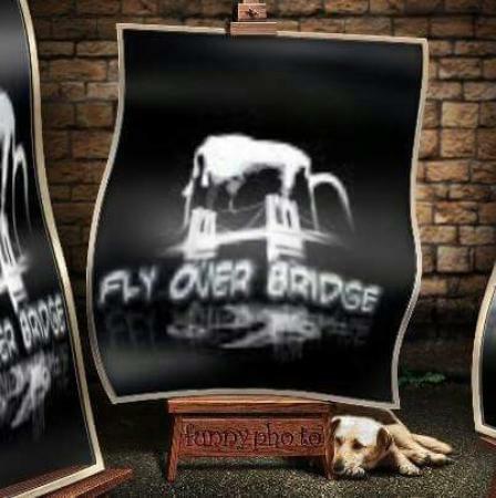 Fly Over Bridge
