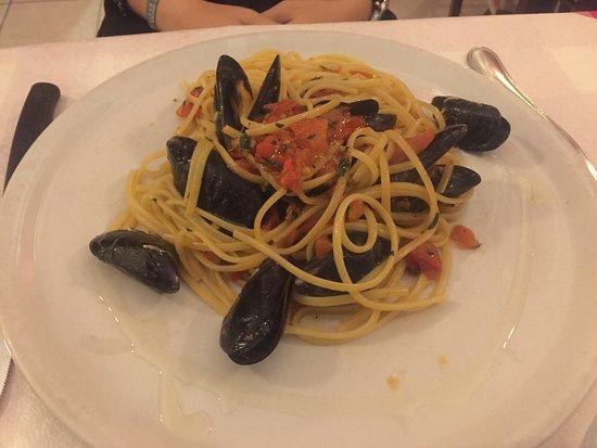 My Little Italy