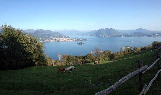 Agriturismo l'Ordin di Basalini Giulietta