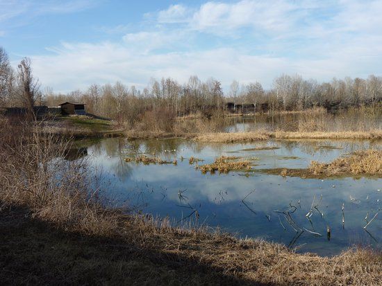 Oasi Naturalistica la Madonnina