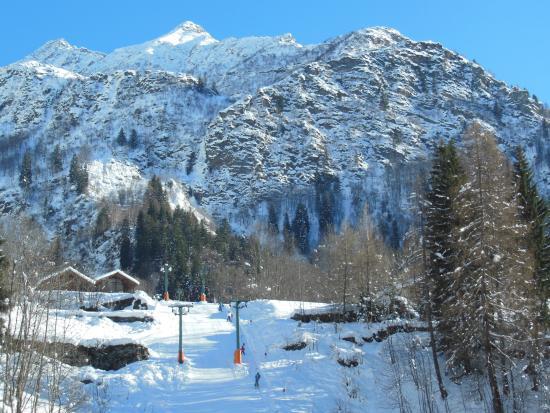 Bar Wold