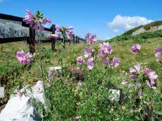 Riserva Naturale delle Sorgenti del Belbo