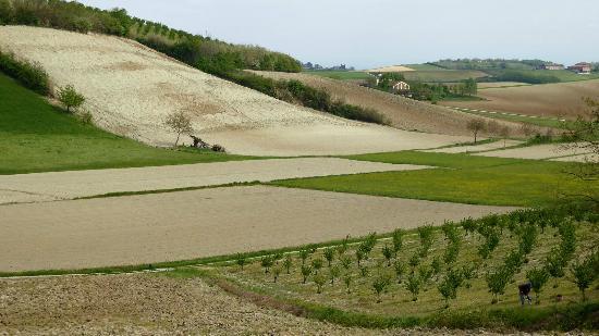 Strada Panoramica tra Cuccaro Monferrato e Lu