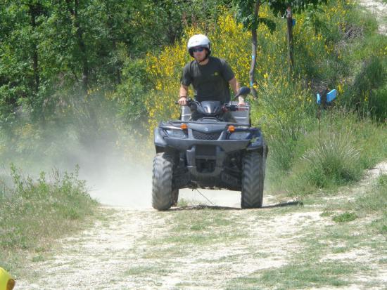 Freequadasti