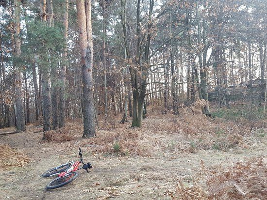 Riserva Naturale di Bosco Solivo