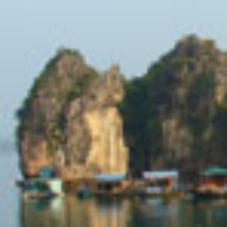 Daikiri
